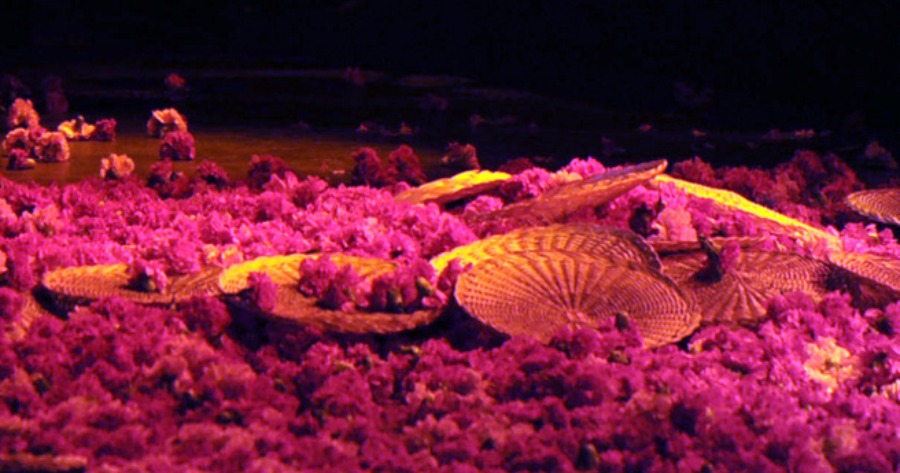 ΠΑΣΟΚ ΚΑΙ ΑΙΣΘΗΤΙΚΗ  [ΑΠΟΕΝΟΧΟΠΟΙΗΣΗ – ΕΠΑΝΑΧΟΥΝΤΟΠΟΙΗΣΗ]