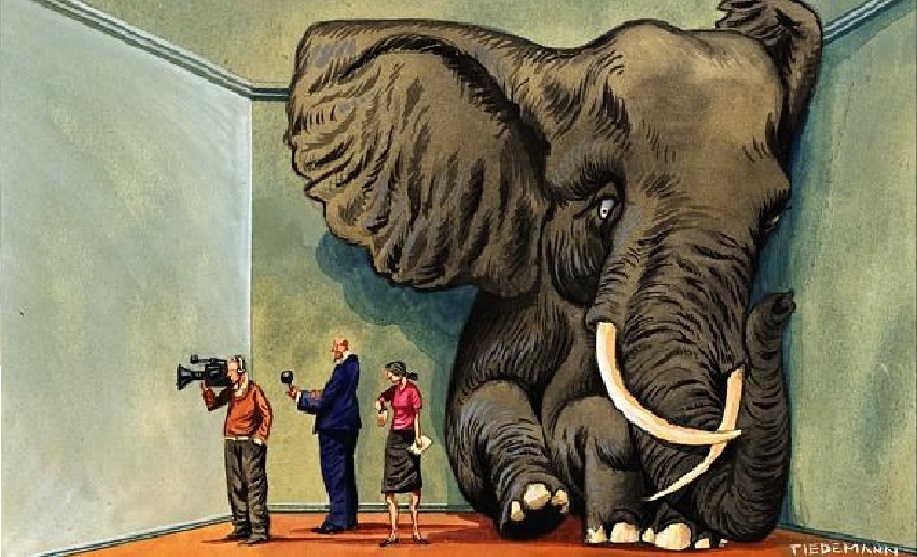 The elephant in the room OANNES